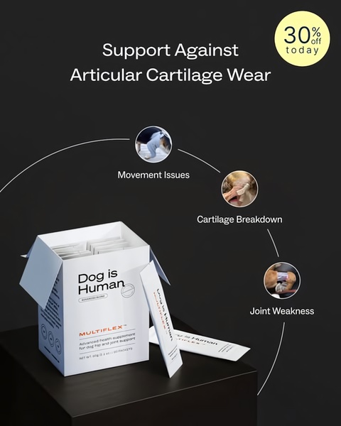 A clean, minimalist 4:5 static ad that uses a circular diagram to link three specific mobility pain points to a single supplement product solution.